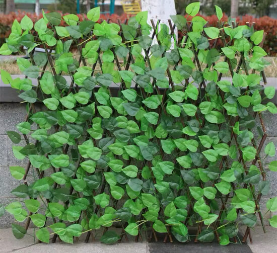 Universali namų kiemo sienos dekoracija – Tujos