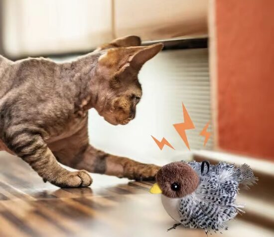 Universalus judantis žaislas augintiniui