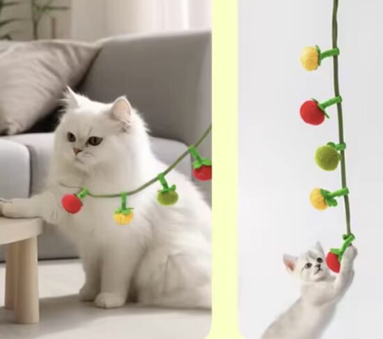 Universalus Žaislas Augintiniui