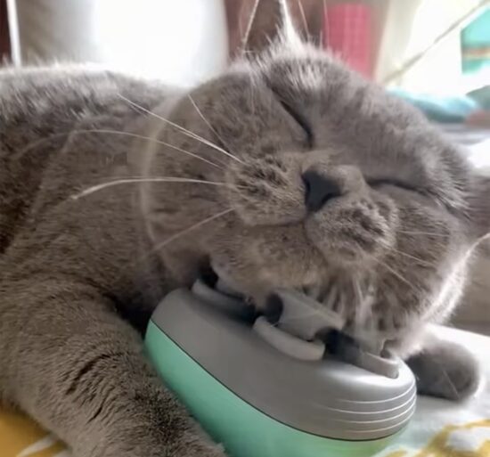 Universalus Augintinio Masažuoklis