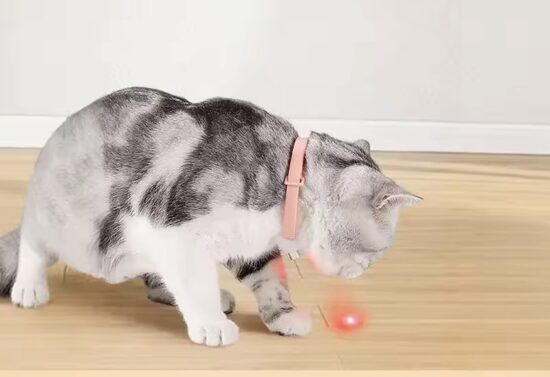 Universali Augintinio Apykakle Su Lazeriu 